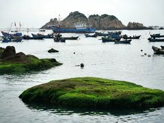 -枸杞岛