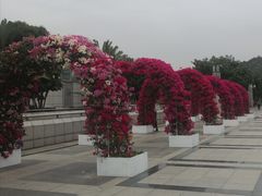 -莲花山公园