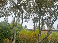 -三好坞景观餐厅