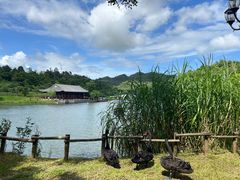 -香山湖公园