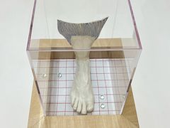 -胶囊画廊