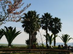 -滇池海埂公园