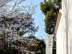 -日出青木·杭帮菜名店