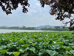 -云龙湖旅游景区