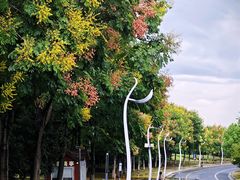 -西山漾湿地公园