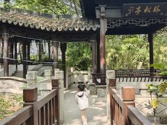 -上海佘山国家森林公园天马山园