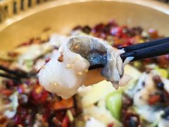 炝锅江团-小胖墩炝锅鱼(天钥桥路店)