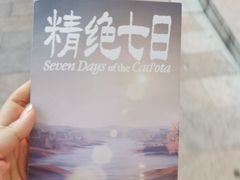 -精绝七日-新疆尼雅遗址数字大展【拉法耶文化艺术中心】