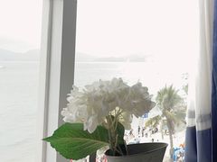 -深圳海边小筑客栈