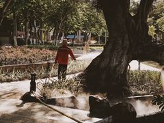 -金砂公园