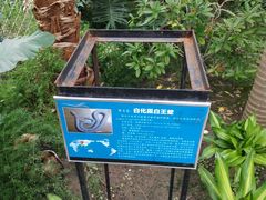-白洋淀景区