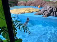 -海合安武汉极地海洋公园