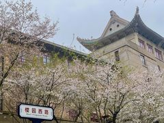 -武汉大学-樱园