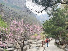 -狼牙山风景区