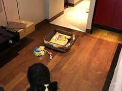 -上海崇明金茂凯悦酒店