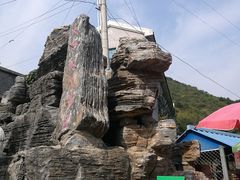 -大岭沟猕猴桃谷风景区