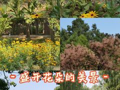 -洛阳市隋唐城遗址植物园