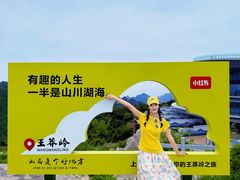 -王莽岭风景区