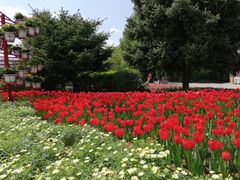 -北陵公园