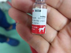 -伟伟宠物医院·CT影像中心·瑞派犬猫综合性门诊(汉口总院)
