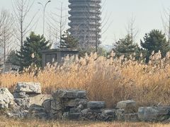 -西海子公园