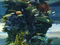 -福州罗源湾海洋世界旅游区