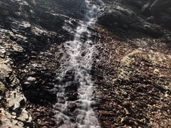 -龙道沟景区