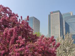 -元大都城垣遗址公园