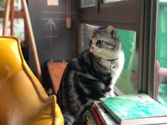 -咖法森林·咖啡  酒吧(天河店)