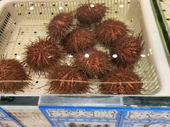 -苏大嘴蒸汽海鲜·海胆蒸饺(中山广场店)