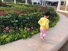 -九龙公园