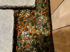 -邈墨茶馆(凤起路店)