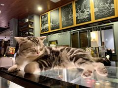 -咖法森林·咖啡  酒吧(天河店)