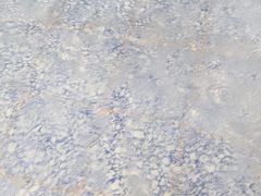 -龙达温泉生态城