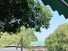 -听风阁农家私房菜茶楼(龙坞店)