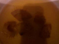 -黔蘑菇四季餐厅(观山湖店)