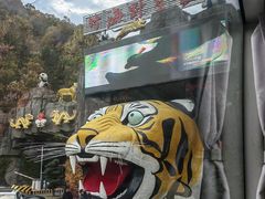 -栾川竹海野生动物园