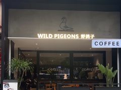 -野鸽子咖啡(航空路店)