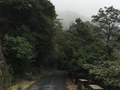 -东天目山风景区