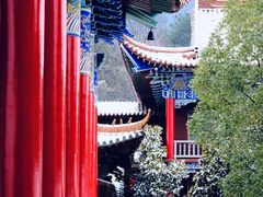 -开福禅寺