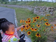-罗田薄刀峰风景区