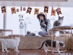 -Catmate·猫肥家润(金润铂宫店)