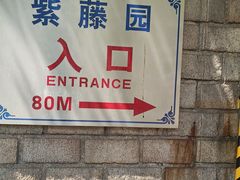 -嘉定紫藤园
