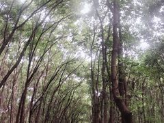 -同里国家湿地公园