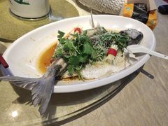 清蒸鲩鱼-五邑人家(江门店)