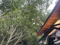 -野象谷景区