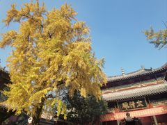 -长春观