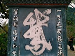 -靖西鹅泉风景区