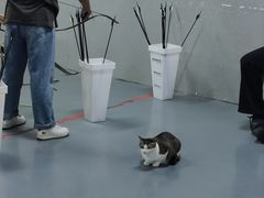 -蓝天射箭馆·专业射箭运动(诚丰广场店)