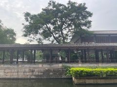 -荔湾湖公园